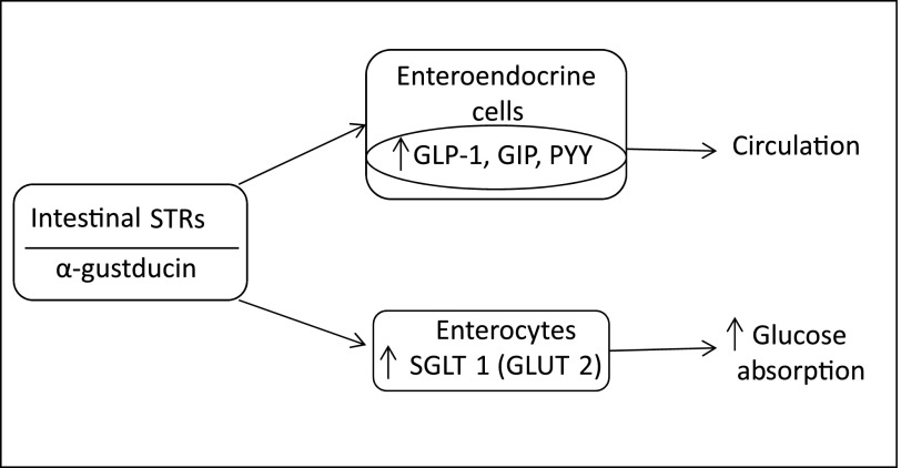 FIG. 1.