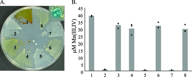 FIG 3