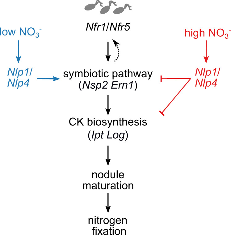 Fig. 9