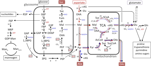 FIGURE 1.