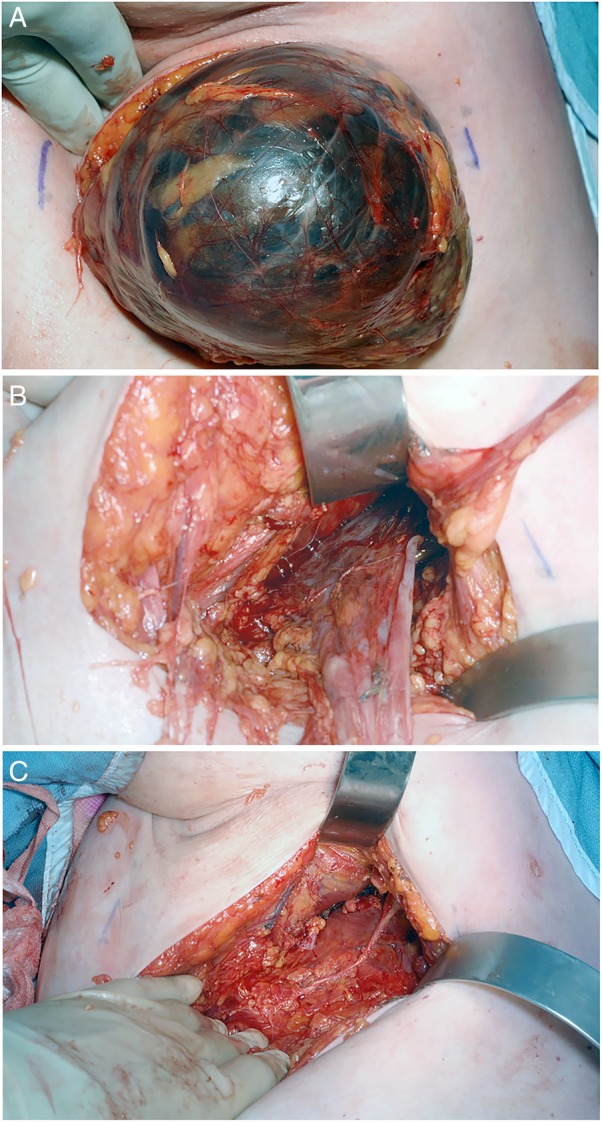 Figure 3