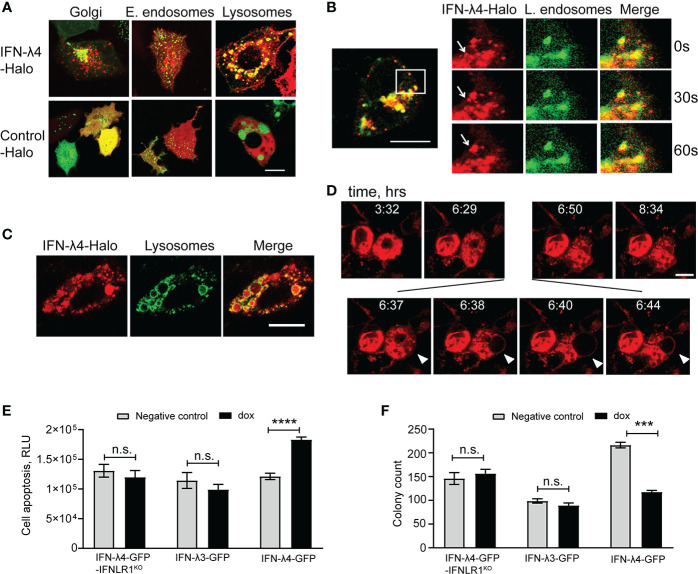 Figure 2