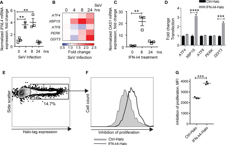 Figure 3