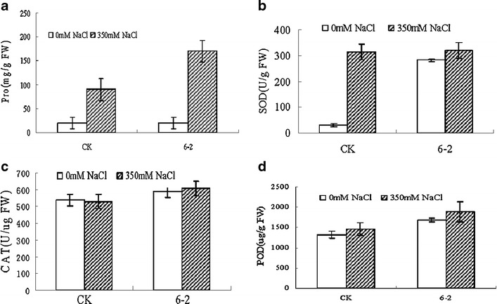 Fig. 10