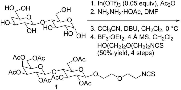 Scheme 1