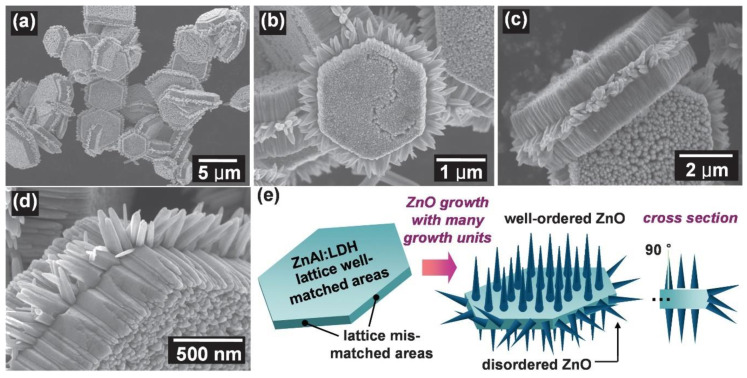 Figure 29