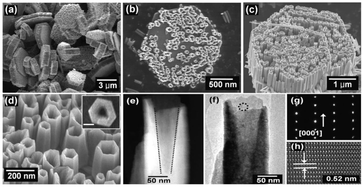 Figure 30