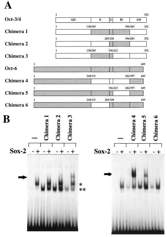 FIG. 8