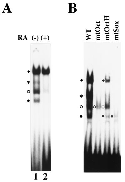 FIG. 7