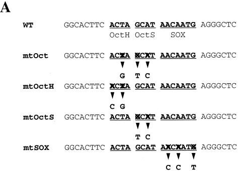 FIG. 5