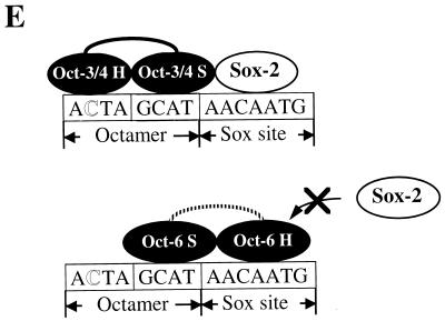 FIG. 6