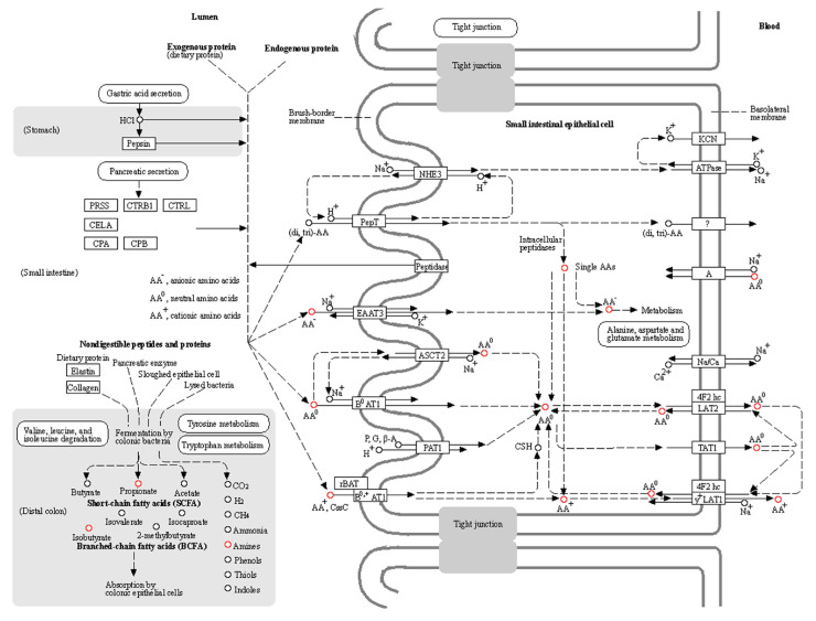 Figure 7