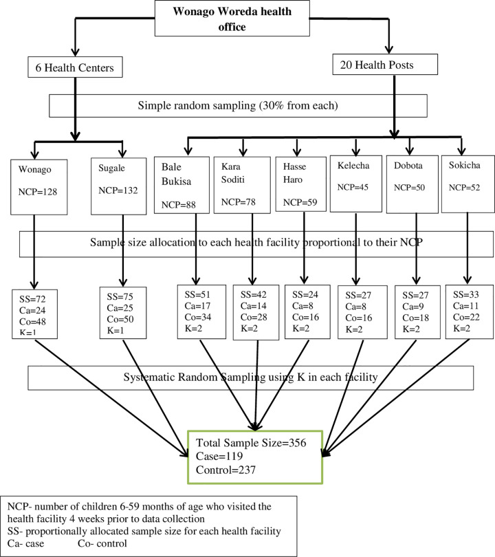 Fig 1