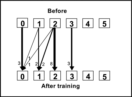 Figure 2a