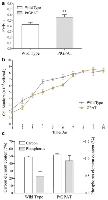 Fig. 3