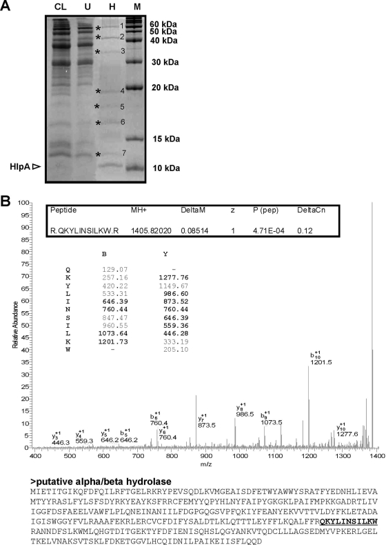 FIG. 5.