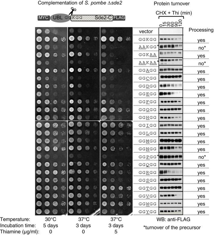 Figure EV3