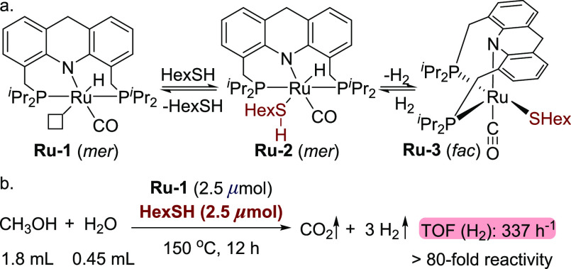 Scheme 3