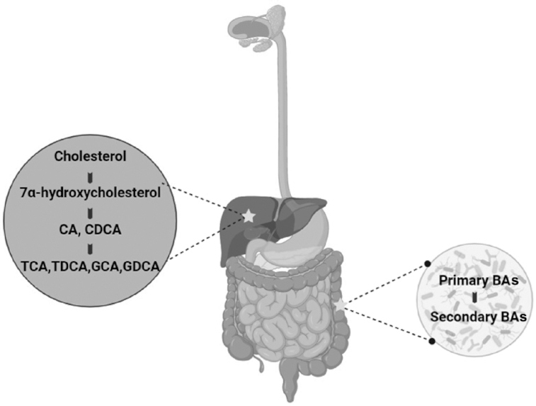 FIGURE 1