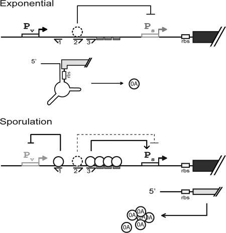 Fig. 8.