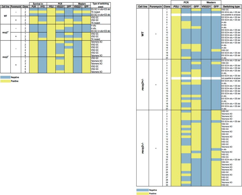 Figure 4—figure supplement 2.