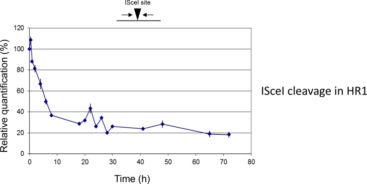 Figure 5—figure supplement 1.