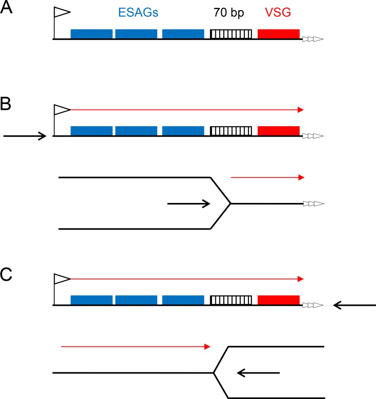 Figure 9.