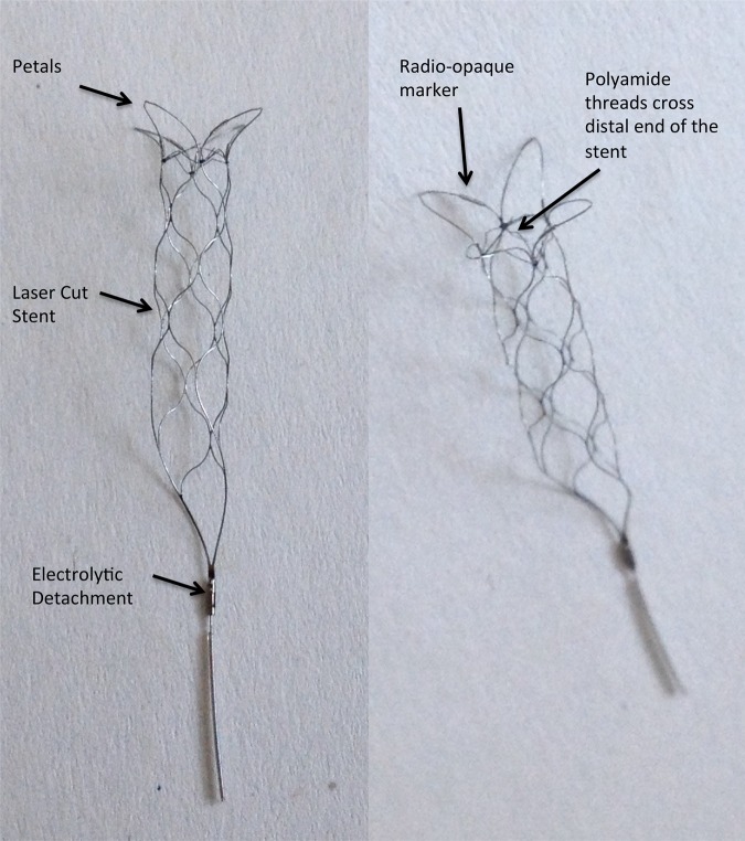 Figure 1