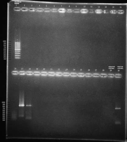 [Table/Fig-6]: