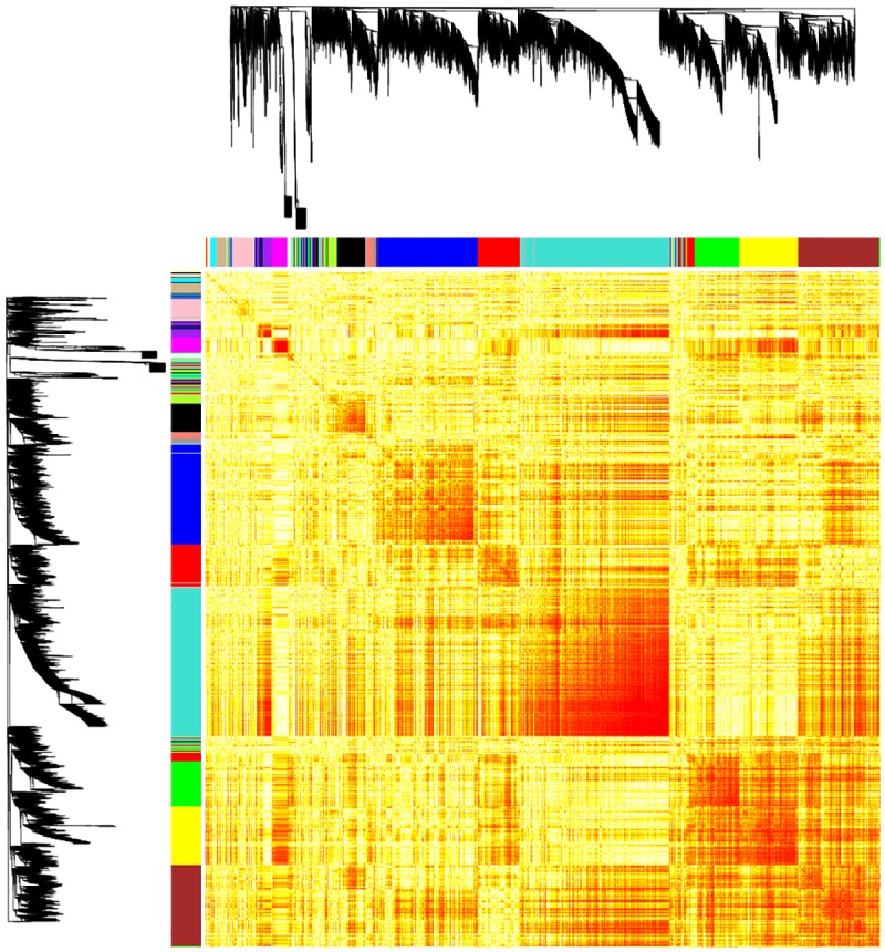 Fig 5