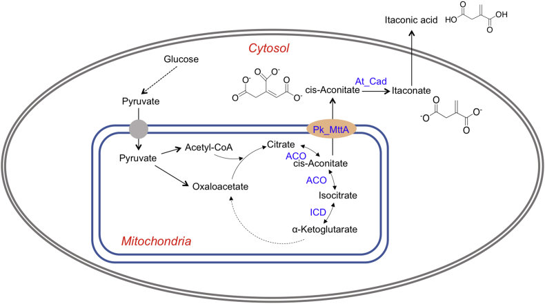 Fig. 2