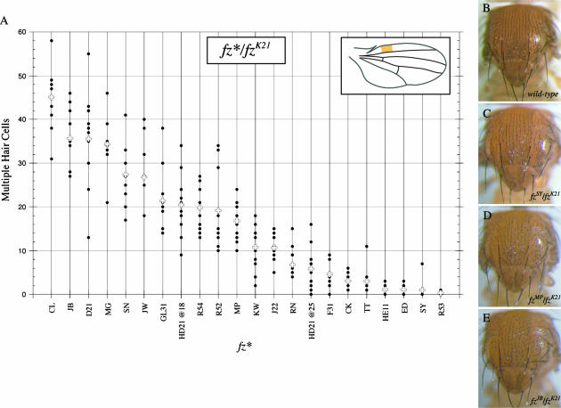 Figure 3.