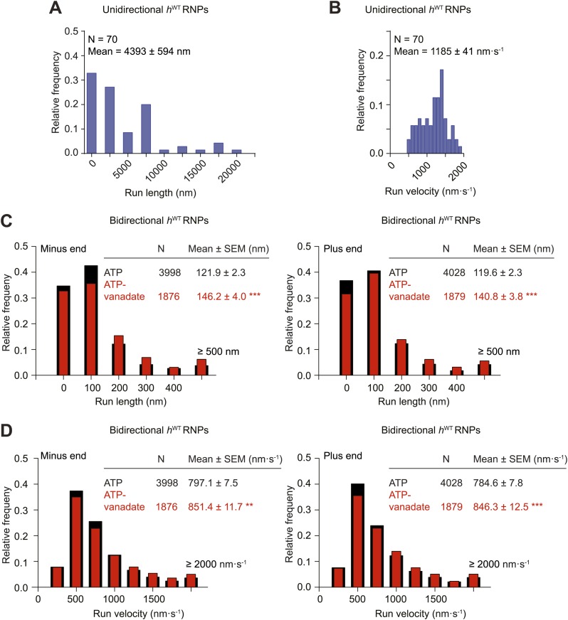 Figure 2—figure supplement 2.