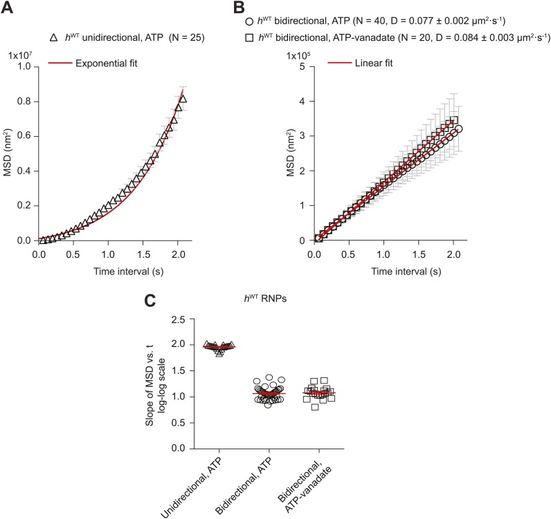 Figure 2—figure supplement 1.