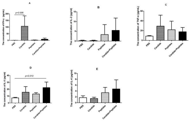 Fig. 3