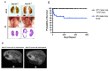 Figure 2—figure supplement 2.