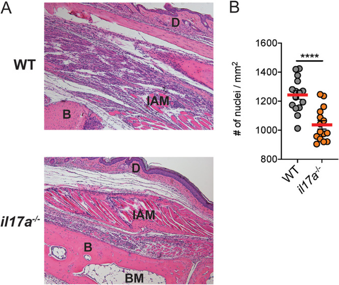 FIG 3