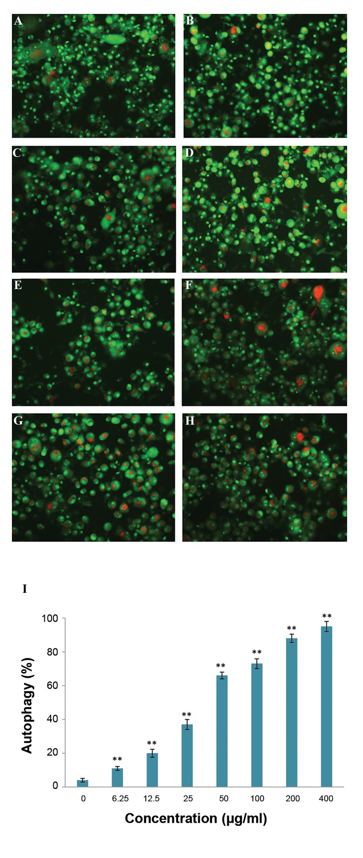 Fig.4