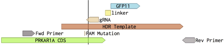 Figure 2