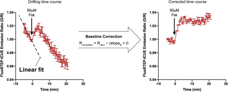 Figure 5