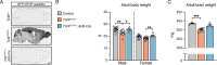 Figure 1—figure supplement 1.