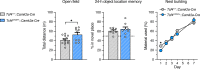 Figure 4—figure supplement 2.