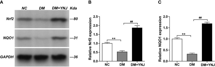 Figure 10