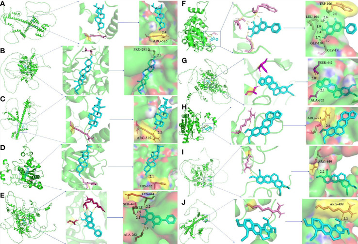 Figure 7