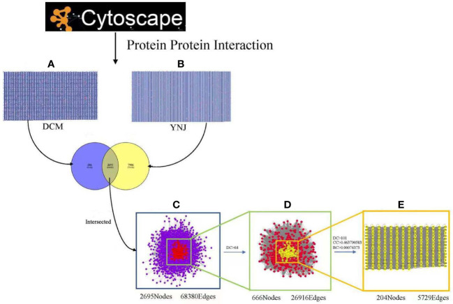 Figure 4