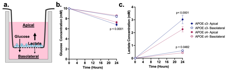 Supplemental Fig. S1