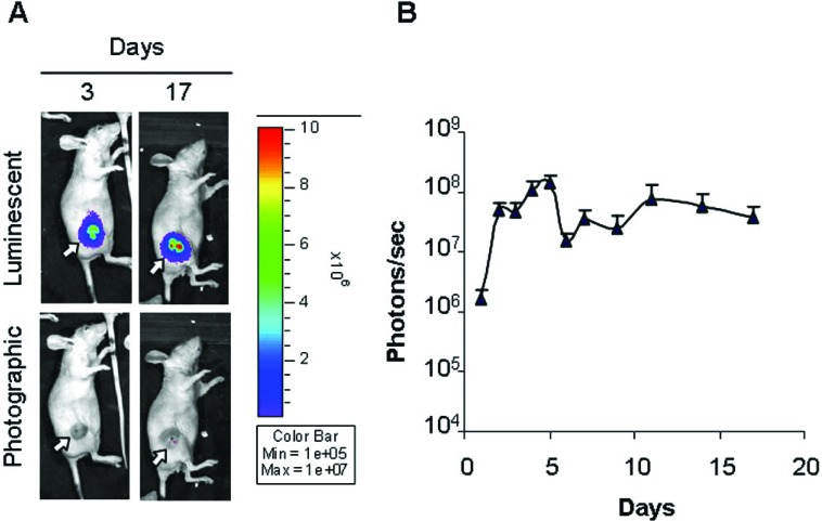 Fig. (3)