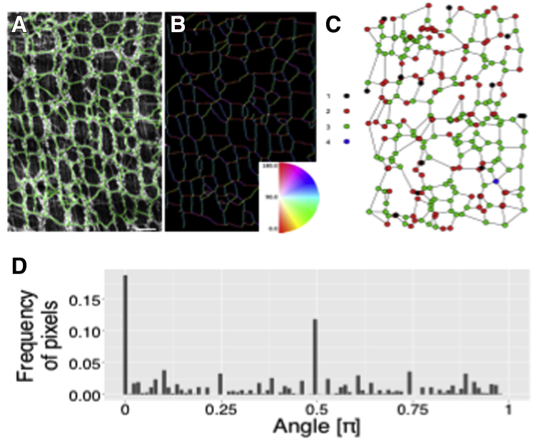 Figure 6