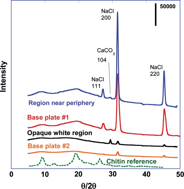 Figure 6. 