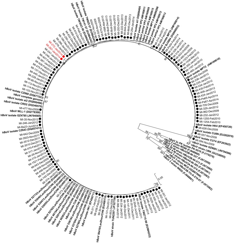 Fig 1